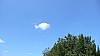 P1040128.jpg