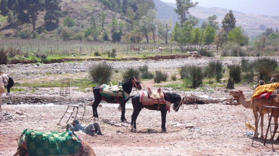 Ait_Ouir-01.jpg