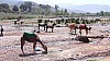 Ait_Ouir-02.jpg