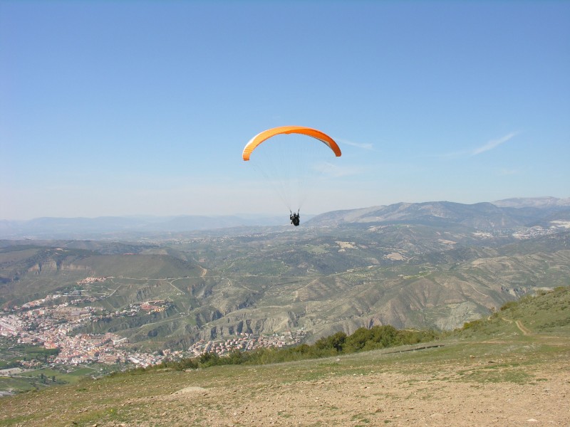 DSCN9095_JPG.jpg